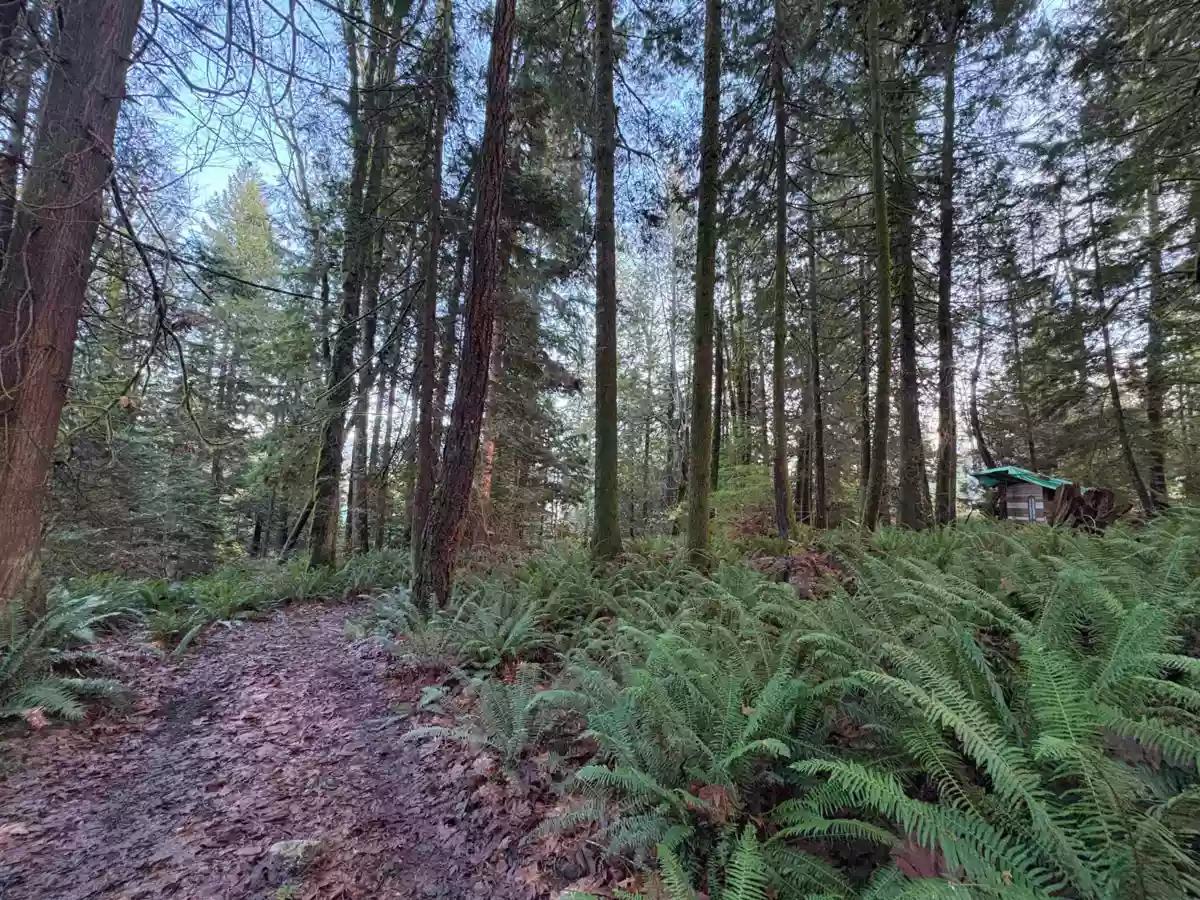 Outdoor Deck Photo of 815 The Grove Road, Gambier Island, BC
