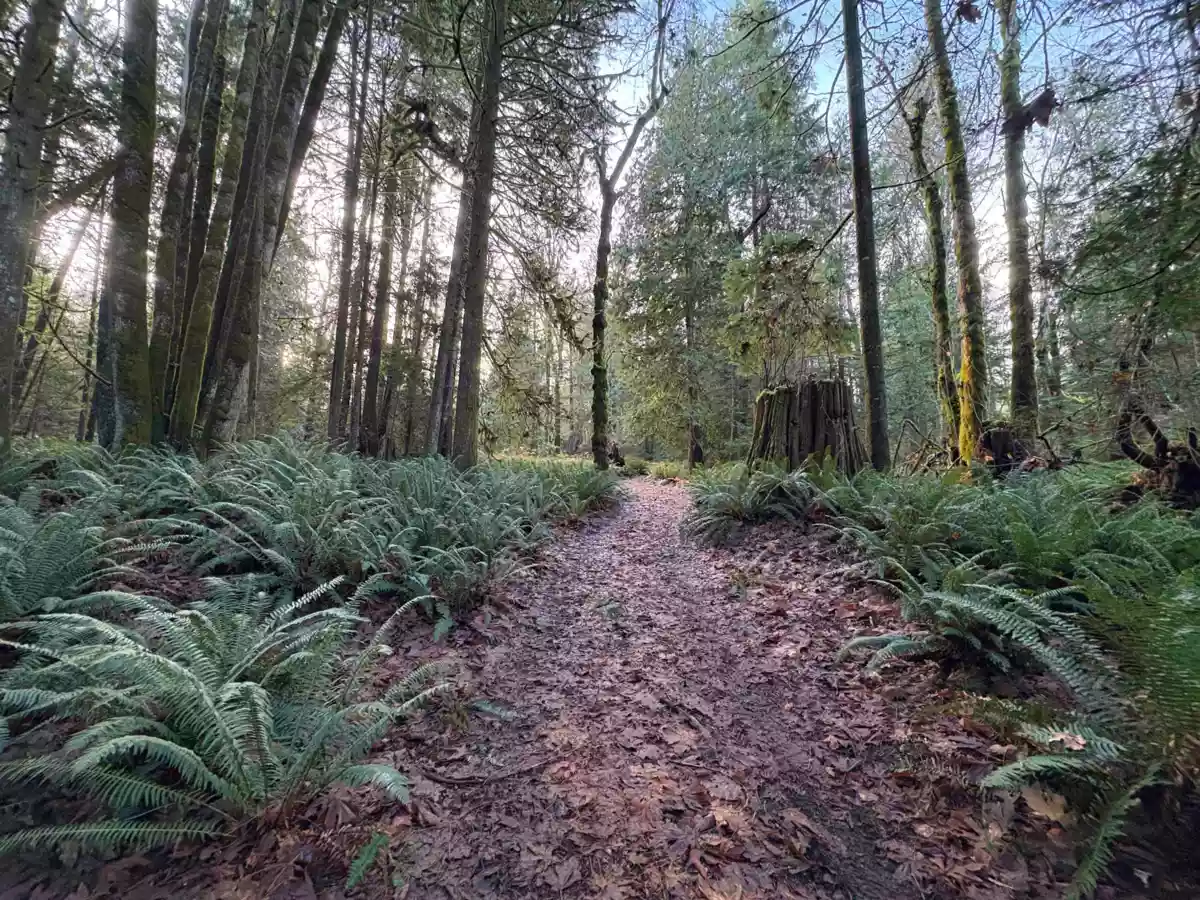 Outdoor Patio Photo of 815 The Grove Road, Gambier Island, BC