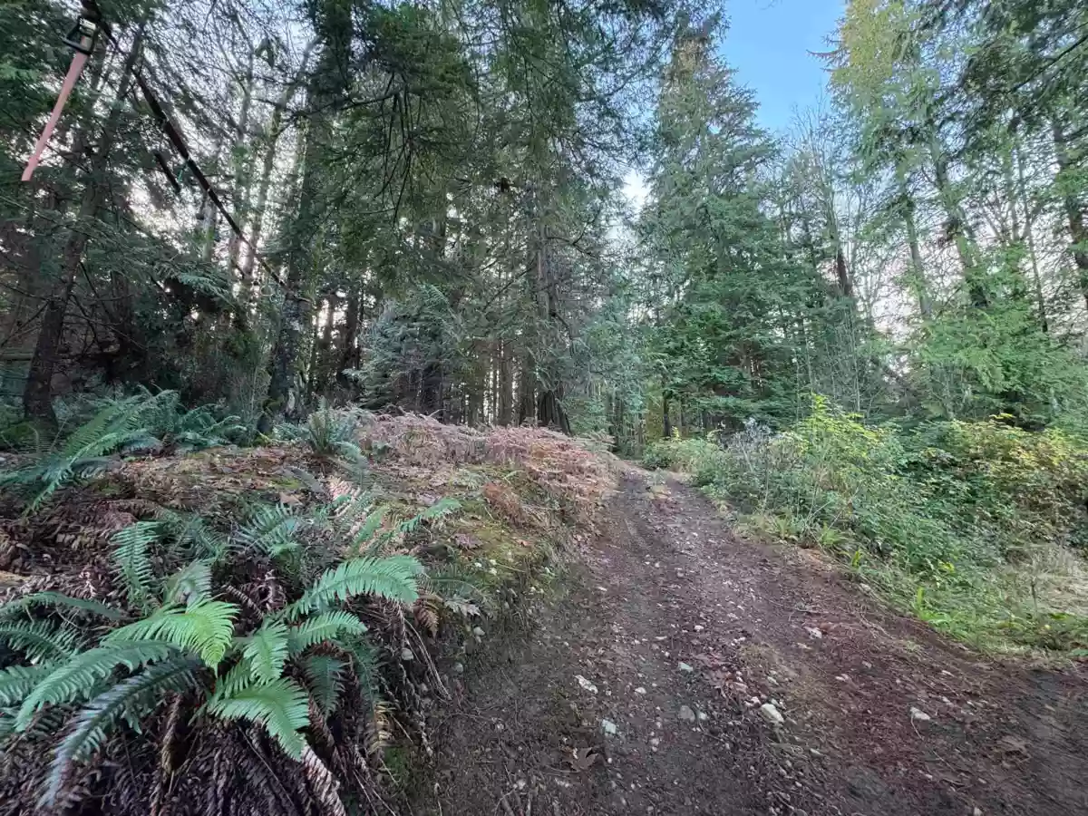 Staircase Photo of 815 The Grove Road, Gambier Island, BC