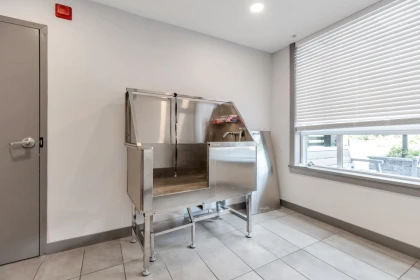 Garage Interior Photo of 319 32690 14 Avenue, Mission, BC