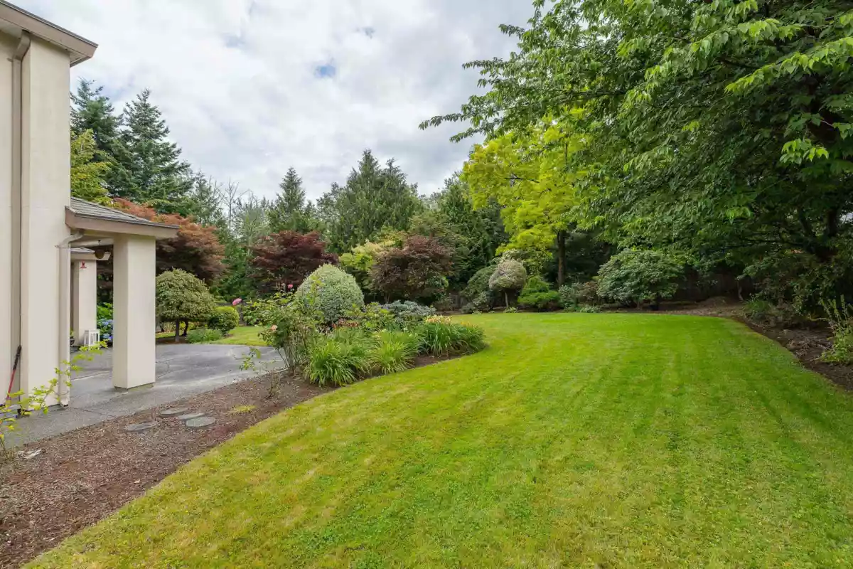 Backyard Photo of 8658 165a Street, Surrey, BC