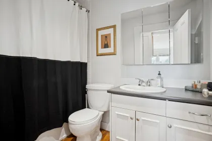 Powder Room Photo of 509 Union Street, Vancouver, BC