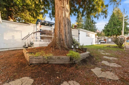 Aerial View of 3 6338 Vedder Road, Chilliwack, BC