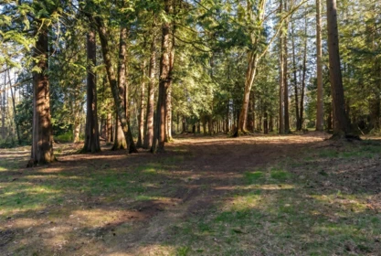 Street View Photo of 17438 28 Avenue, Surrey, BC