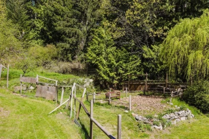 Front Yard Photo of 5899 Spriggs Road, Madeira Park, BC