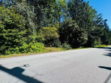 12300 264 Street, Maple Ridge, BC, Maple Ridge — Land for sale
