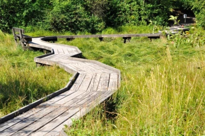Neighborhood Park Photo Near 123 801 Klahanie Drive, Port Moody, BC