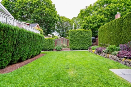 Street View Photo of 2230 Waterloo Street, Vancouver, BC