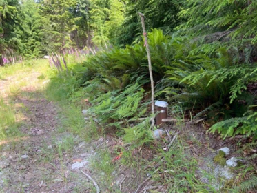 Primary Bathroom Photo of LOT G Cotton Bay Road, Gambier Island, BC
