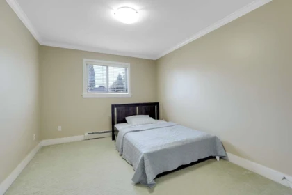 Basement Recreation Room Photo of 13542 80a Avenue, Surrey, BC