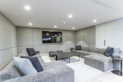 Basement Recreation Room Photo of 2609 567 Emerson Street, Coquitlam, BC