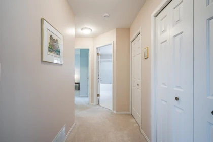 Basement Recreation Room Photo of 11443 Royal Crescent, Surrey, BC