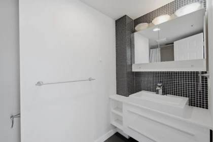 Guest Bathroom Photo of 804 950 Cambie Street, Vancouver, BC