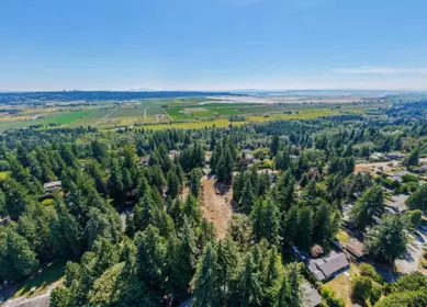 Pantry Photo of 13806 56a Avenue, Surrey, BC