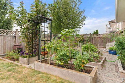 Outdoor Kitchen Photo of 380 Dewdney Avenue, Hope, BC