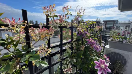 Garden / Landscaping Photo of 401 6688 120 Street, Surrey, BC