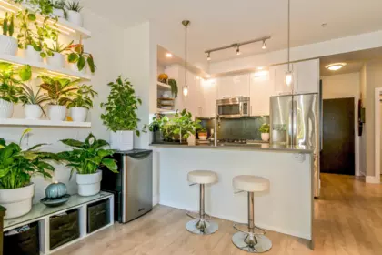 Kitchen Island Photo of C111 20211 66 Avenue, Langley, BC