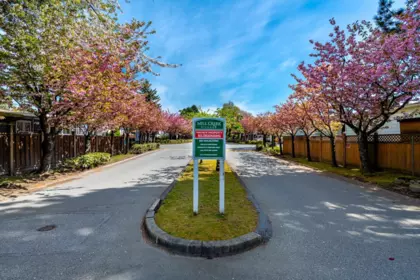 Front Yard Photo of 56 145 King Edward Street, Coquitlam, BC