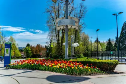 Street View Photo of 56 145 King Edward Street, Coquitlam, BC