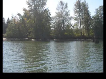 18471 River Road, Richmond, BC, Richmond — Land for sale
