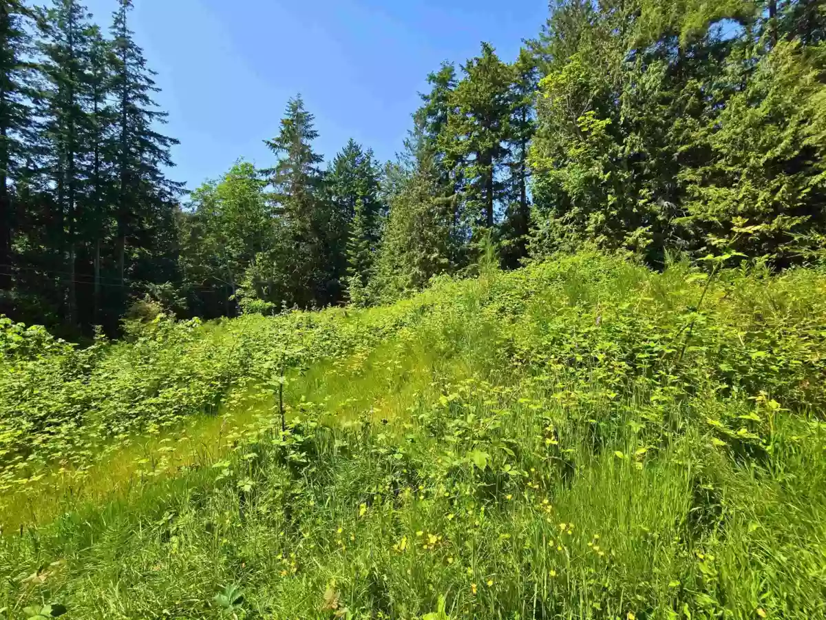Family Room Photo of LOT 5 Lower Road, Roberts Creek, BC
