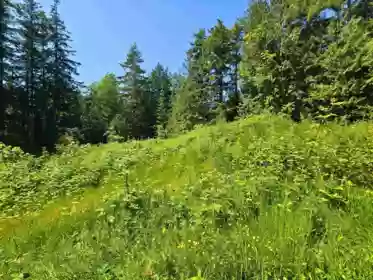 LOT 5 Lower Road, Roberts Creek, BC, Roberts Creek — Land for sale