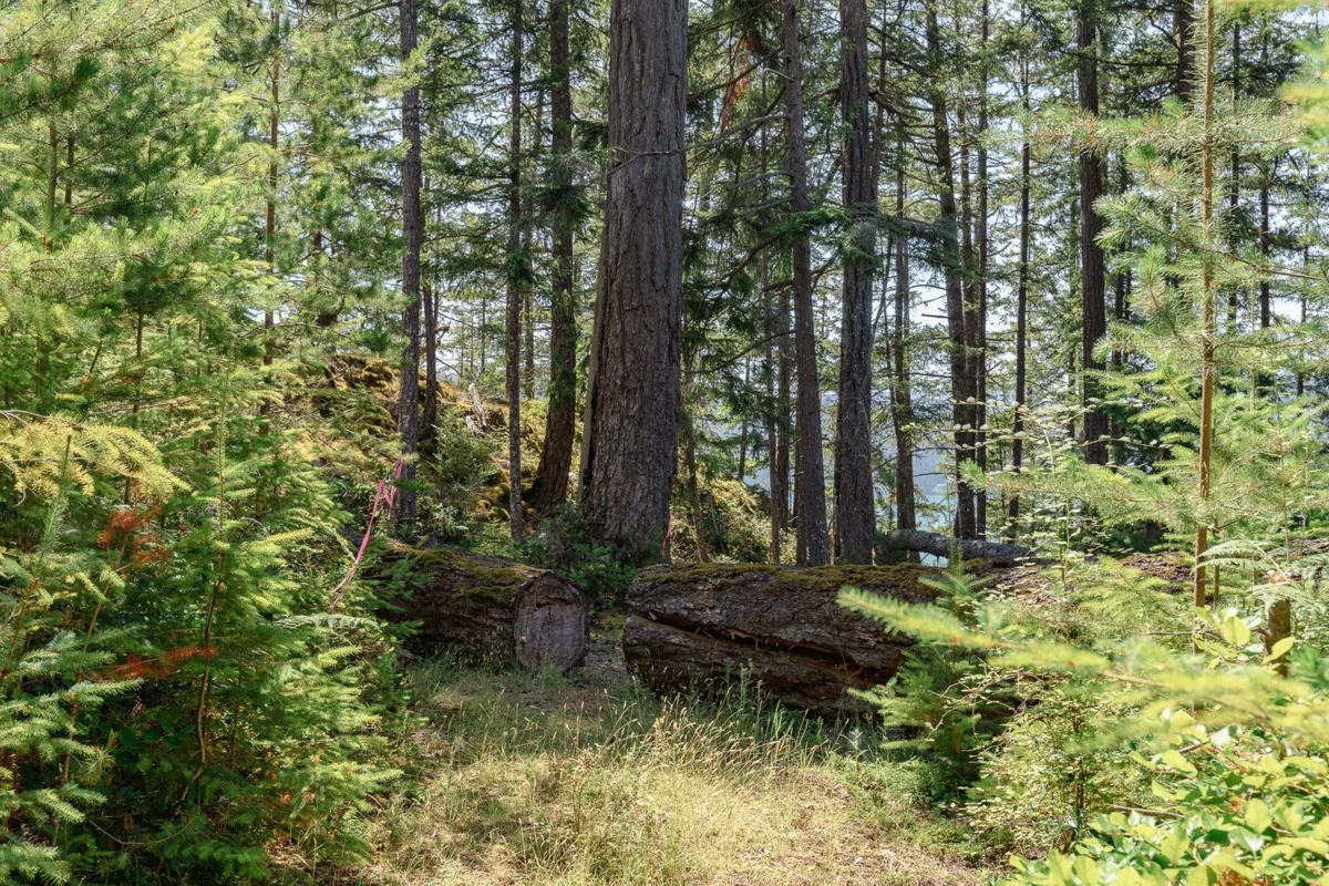 Garden / Landscaping Photo of Lot 33 Fircom Plateau, Gambier Island, BC