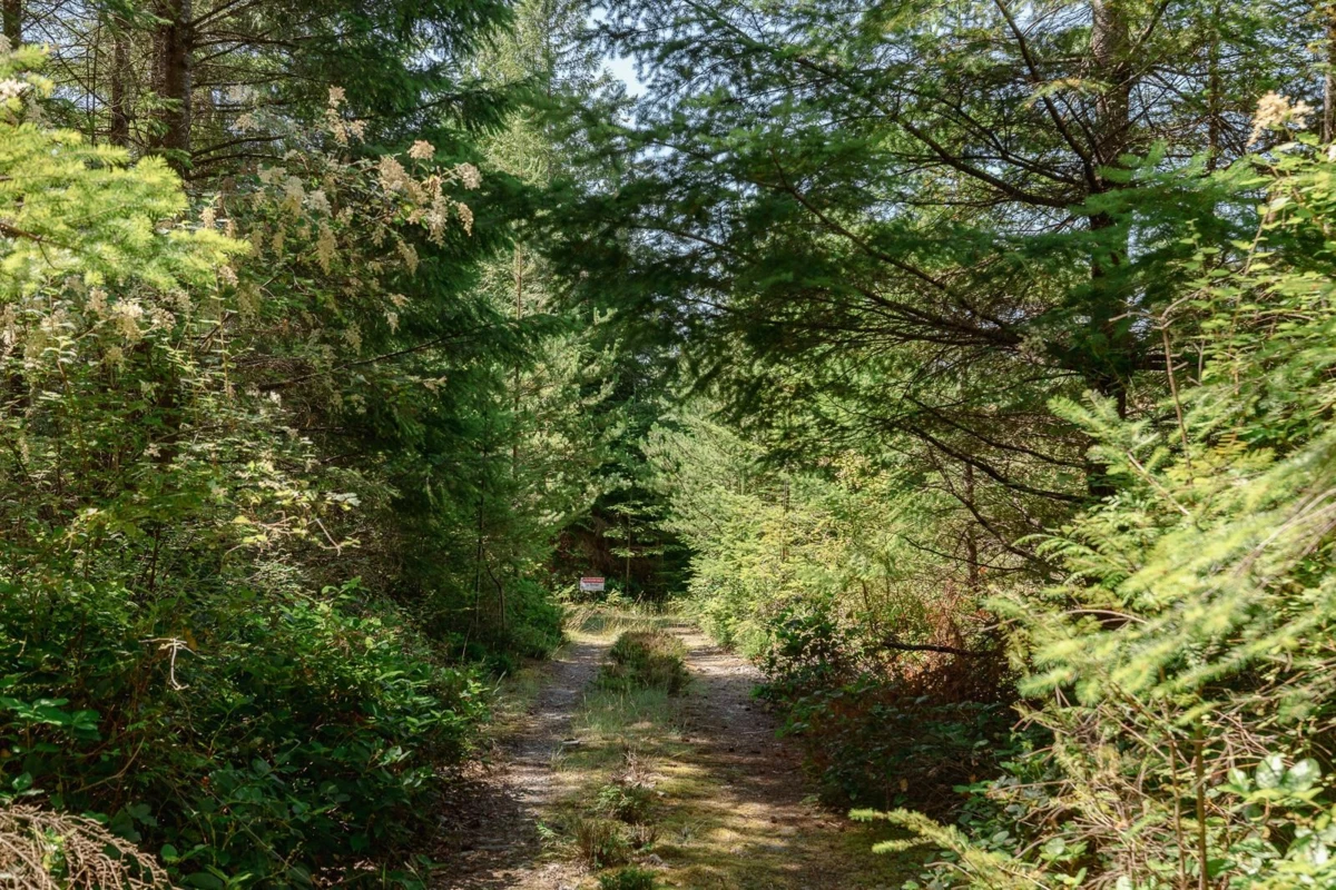 Swimming Pool Photo of Lot 33 Fircom Plateau, Gambier Island, BC