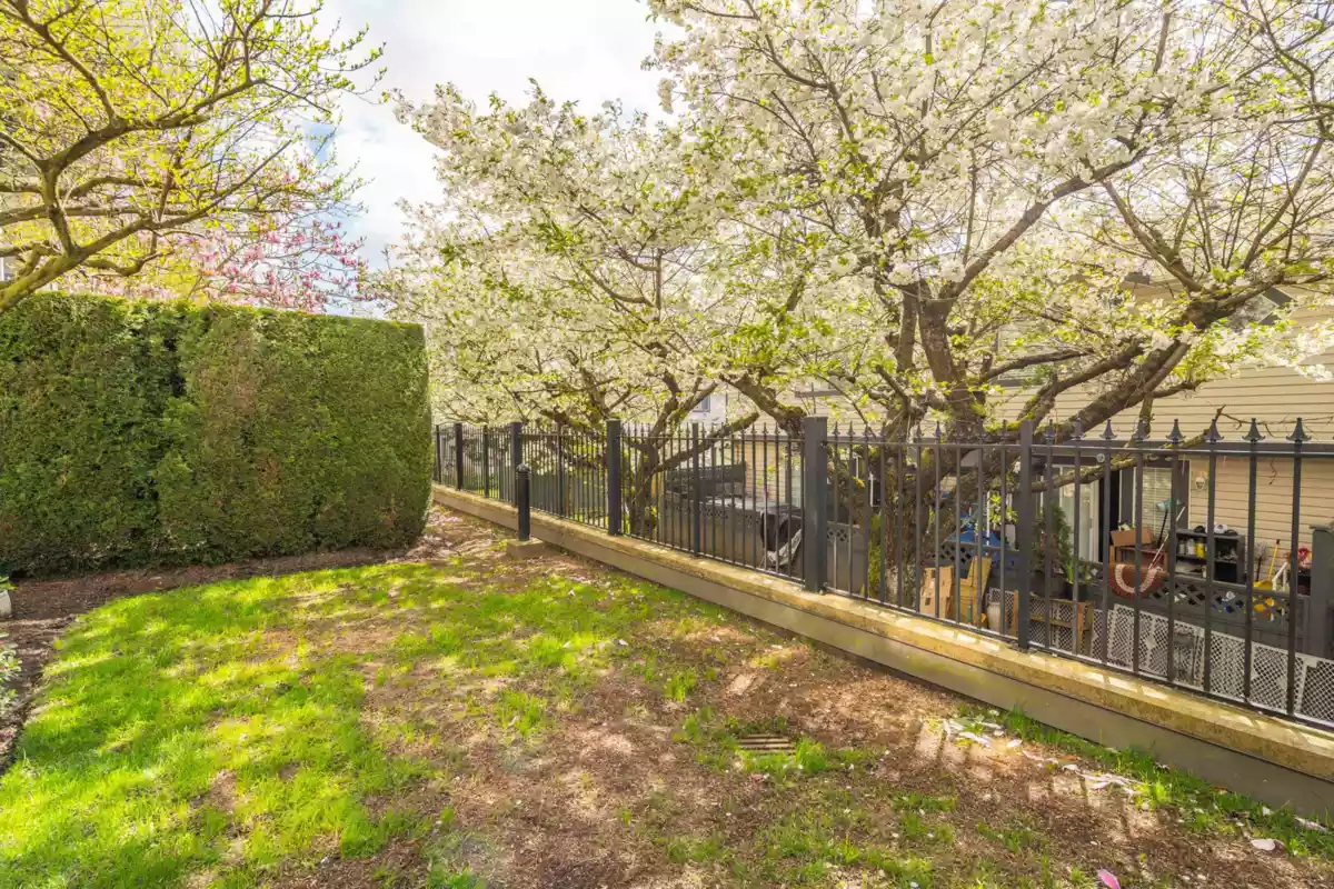 Swimming Pool Photo of 106 5430 201 Street, Langley, BC