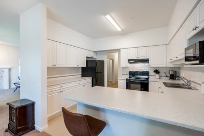 Walk-In Closet Photo of 202 13911 70 Avenue, Surrey, BC