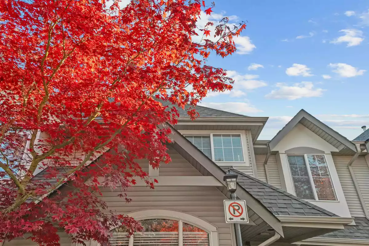 Living Room Photo of 54 23085 118th Avenue, Maple Ridge, BC