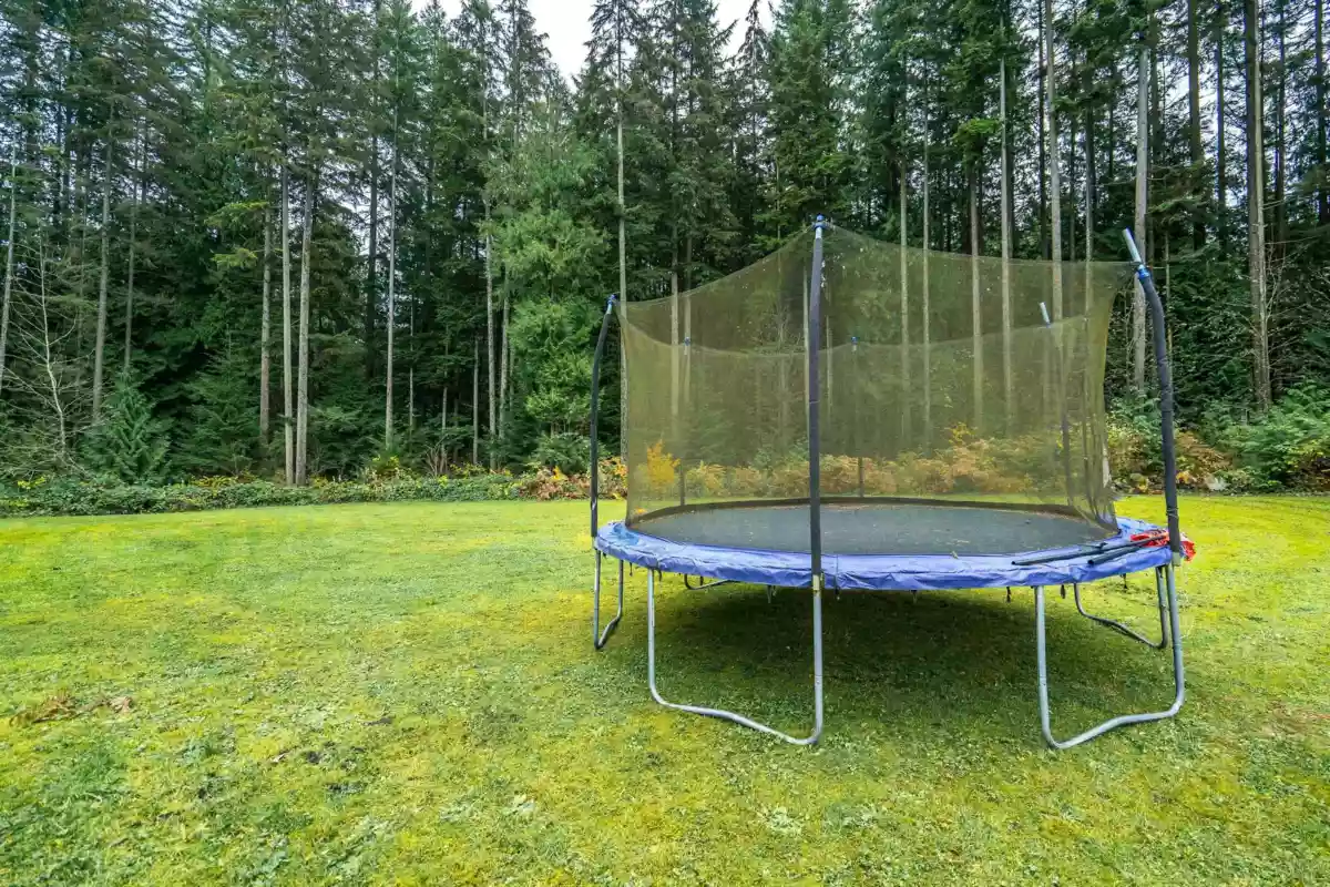 Neighborhood Park Photo Near 11722 272 Street, Maple Ridge, BC