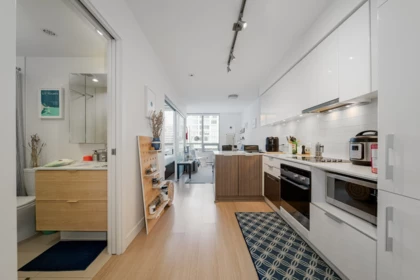 1003 1308 Hornby Street, Vancouver, BC