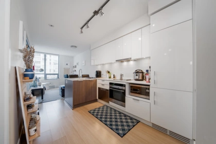 1003 1308 Hornby Street, Vancouver, BC