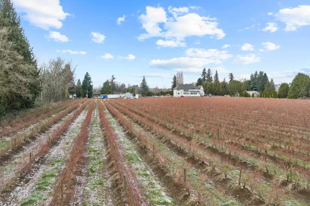 Bedroom 3 Photo of 1264 Mccallum Road, Abbotsford, BC