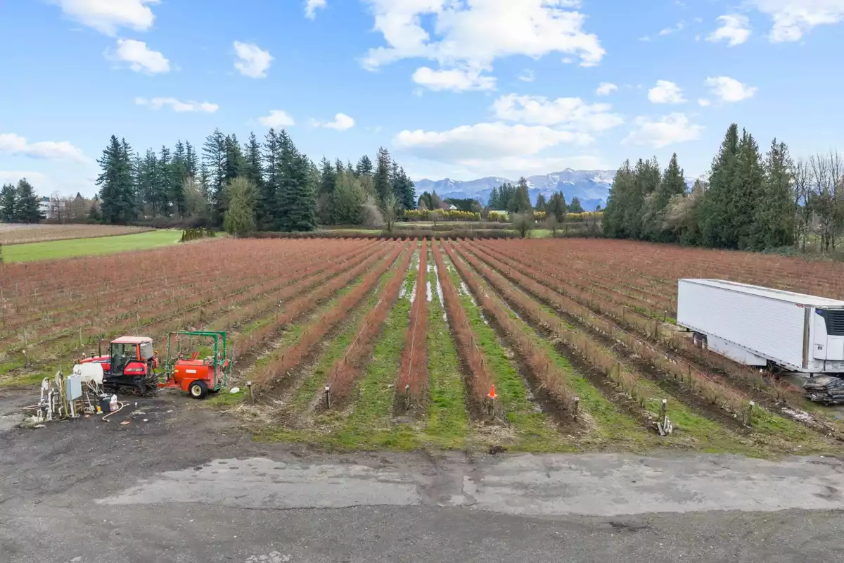 Office / Den Photo of 1264 Mccallum Road, Abbotsford, BC