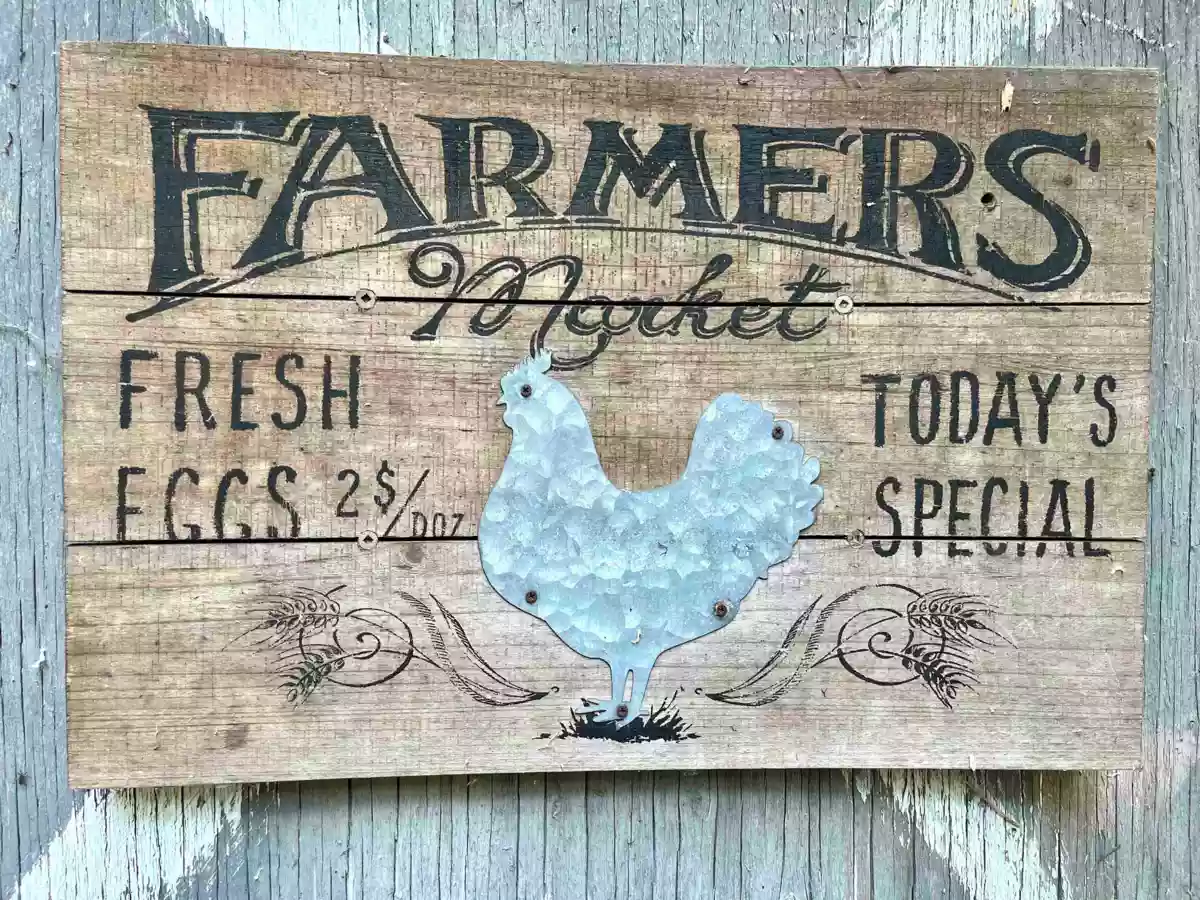 Outdoor Kitchen Photo of 6080 Ross Road, Chilliwack, BC