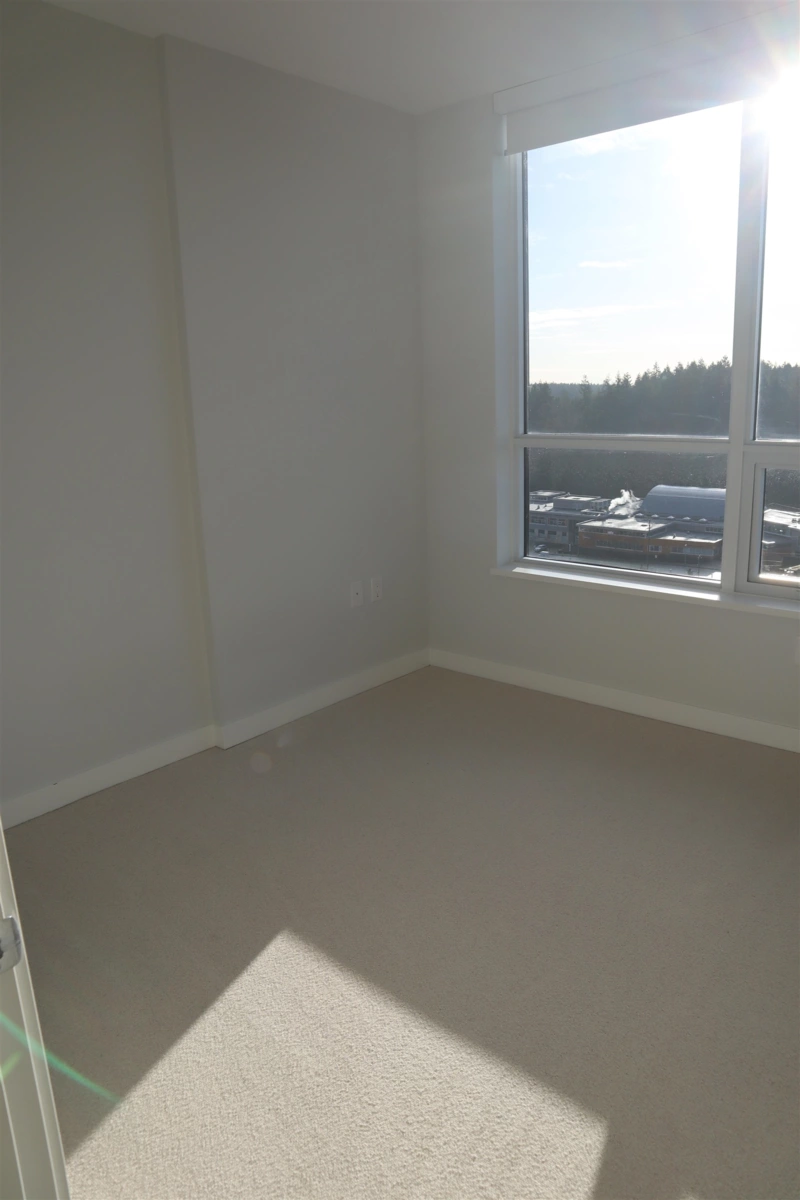 Basement Recreation Room Photo of 1410 5380 Crooked Branch Road, Vancouver, BC