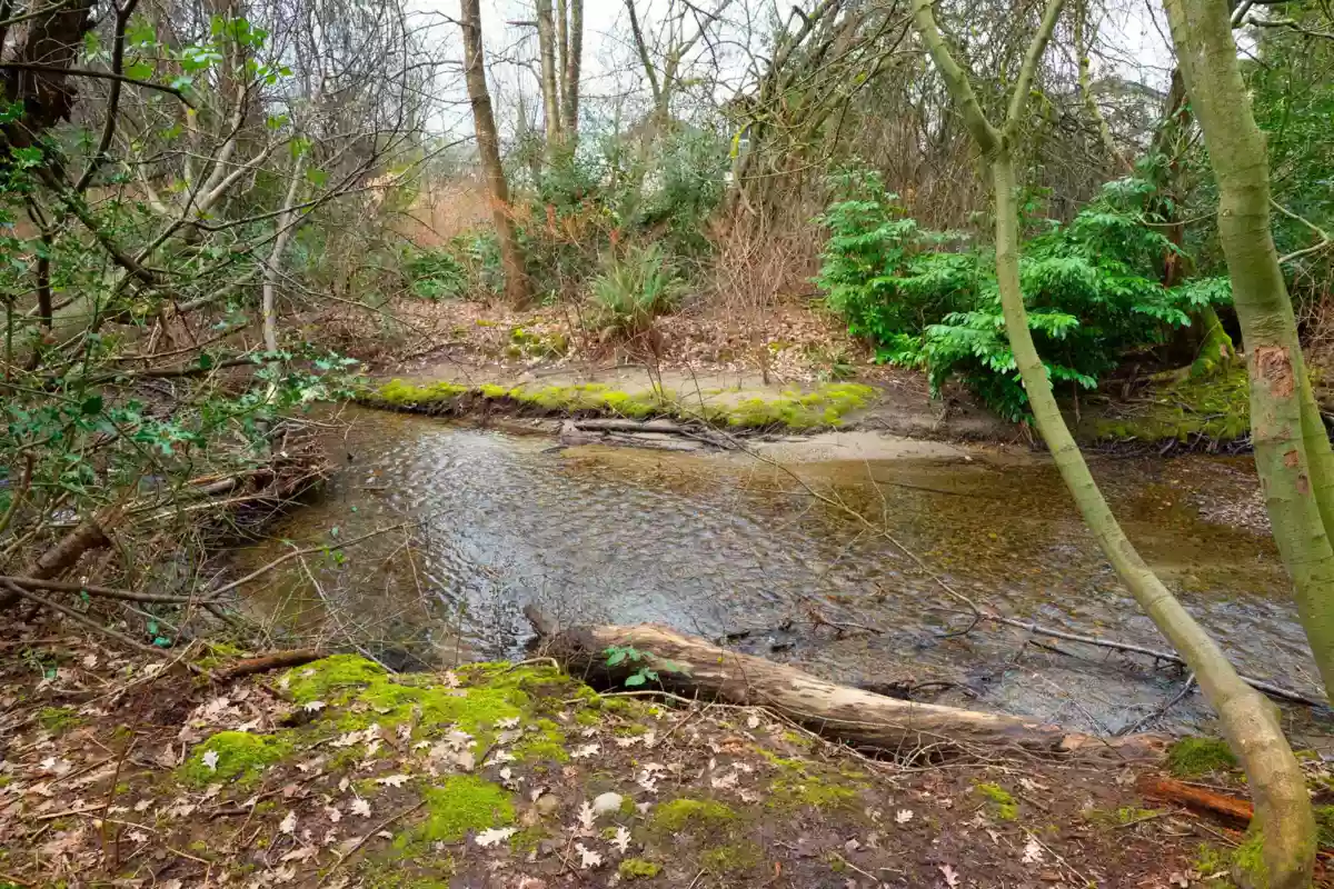 Outdoor Kitchen Photo of 107 1150 Dufferin Street, Coquitlam, BC