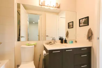 Walk-In Closet Photo of 304 215 Brookes Street, New Westminster, BC