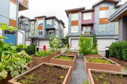 Garden / Landscaping Photo of 13 20763 76 Avenue, Langley, BC