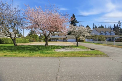 Neighborhood Park Photo Near 5692 247a Street, Langley, BC