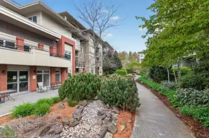 Backyard Photo of F101 20211 66 Avenue, Langley, BC