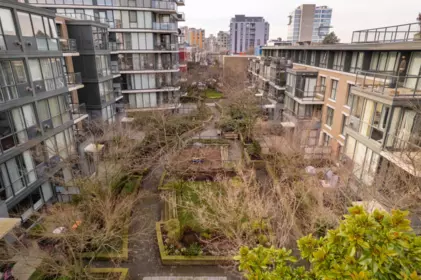 Garden / Landscaping Photo of 411 1483 W 7th Avenue, Vancouver, BC