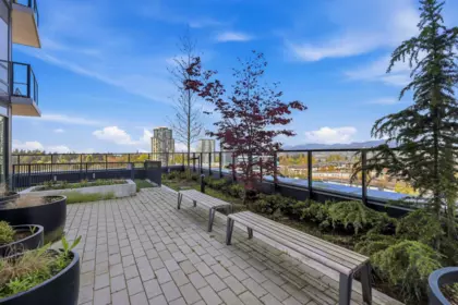 Loft / Bonus Room Photo of 2908 10750 135a Street, Surrey, BC