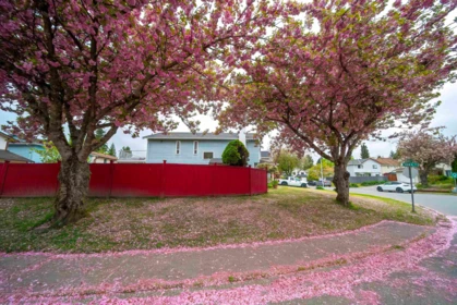 14932 98a Avenue, Surrey, BC, Surrey — Single Family Residence for sale