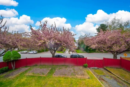 Garden / Landscaping Photo of 14932 98a Avenue, Surrey, BC