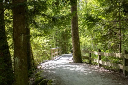 Fitness Center Photo Near 1181 Esperanza Drive, Coquitlam, BC