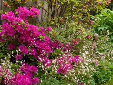 Neighborhood Park Photo Near 1498 Chamberlain Drive, North Vancouver, BC