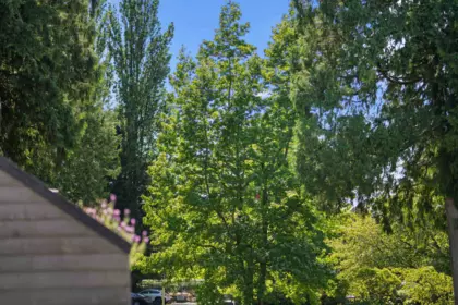 Outdoor Kitchen Photo of 7 14025 Nico Wynd Place, Surrey, BC
